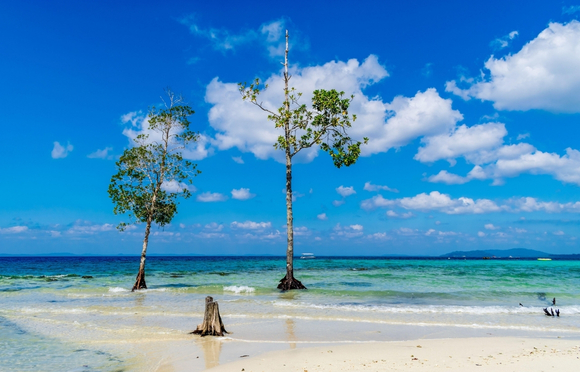 Havelock Island beach